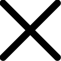 X mark icon